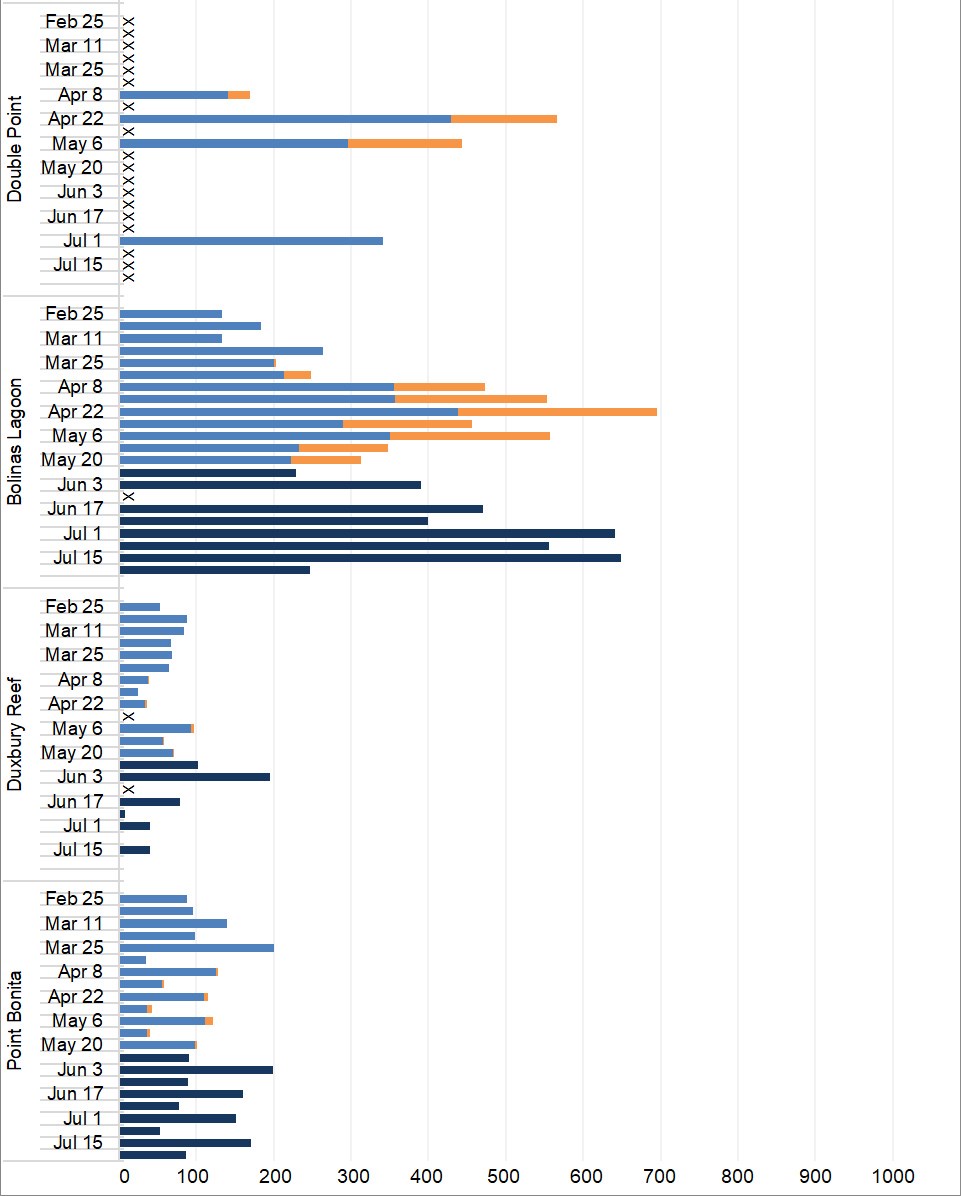 Graph of maximum harbor seal counts by site (Double Point, Bolinas Lagoon, Duxbury Reef, and Point Bonita) and survey week from late February through May.