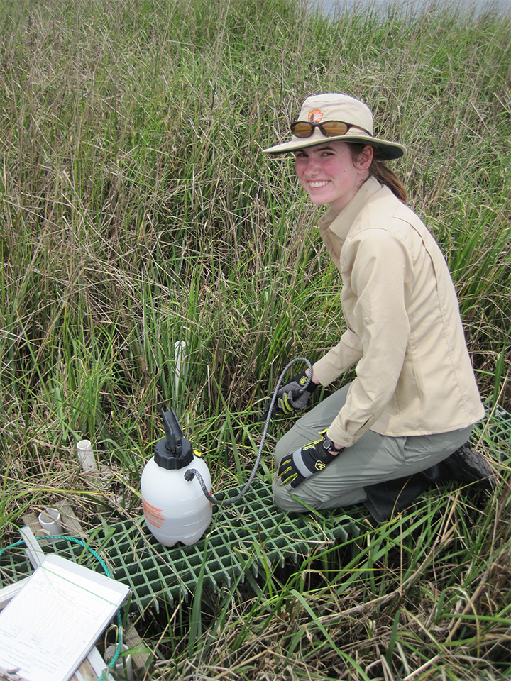 Kate Henderson, Geoscientist in the Park (GIP) at Timucuan Ecological and Historic Preserve, kneeling on a salt marsh platform. Kate Henderson, Geoscientist in the Park (GIP) at Timucuan Ecological and Historic Preserve, kneeling on a salt marsh platform.
