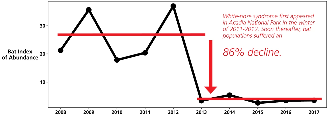 2018_ACAD_09162018 Line graph showing the sharp decline of the bat index of abundance in the park following the arrival of white-nose syndrome.