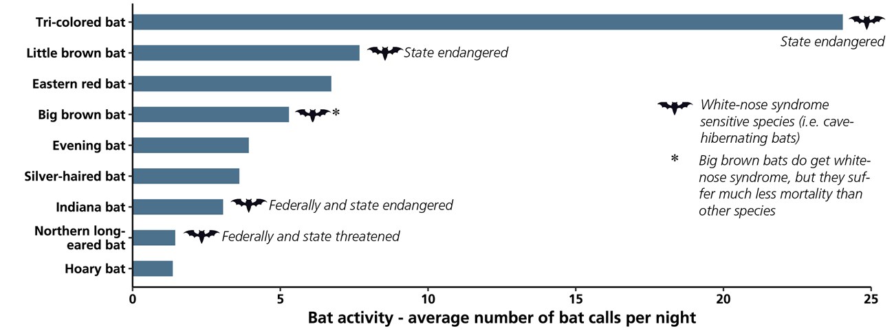 A bar chart of bat activity in the park.