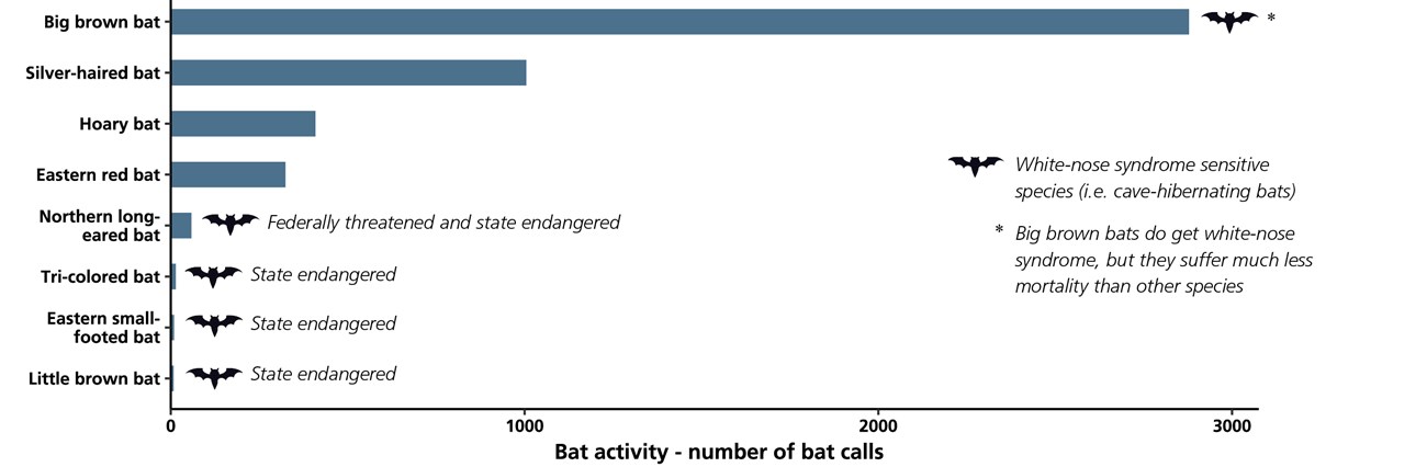 Bar chart showing bat species activity based on the number of recorded bat calls in the park. Bar chart showing bat species activity based on the number of recorded bat calls in the park.