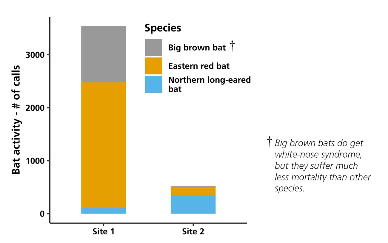 Column chart showing bat activity at two different acoustic sample sites at Fire Island National Seashore. Column chart showing bat activity at two different acoustic sample sites at Fire Island National Seashore.