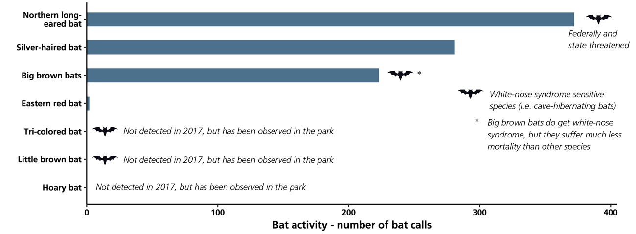Bar chart showing bat species activity based on the number of recorded bat calls in the park. Bar chart showing bat species activity based on the number of recorded bat calls in the park.
