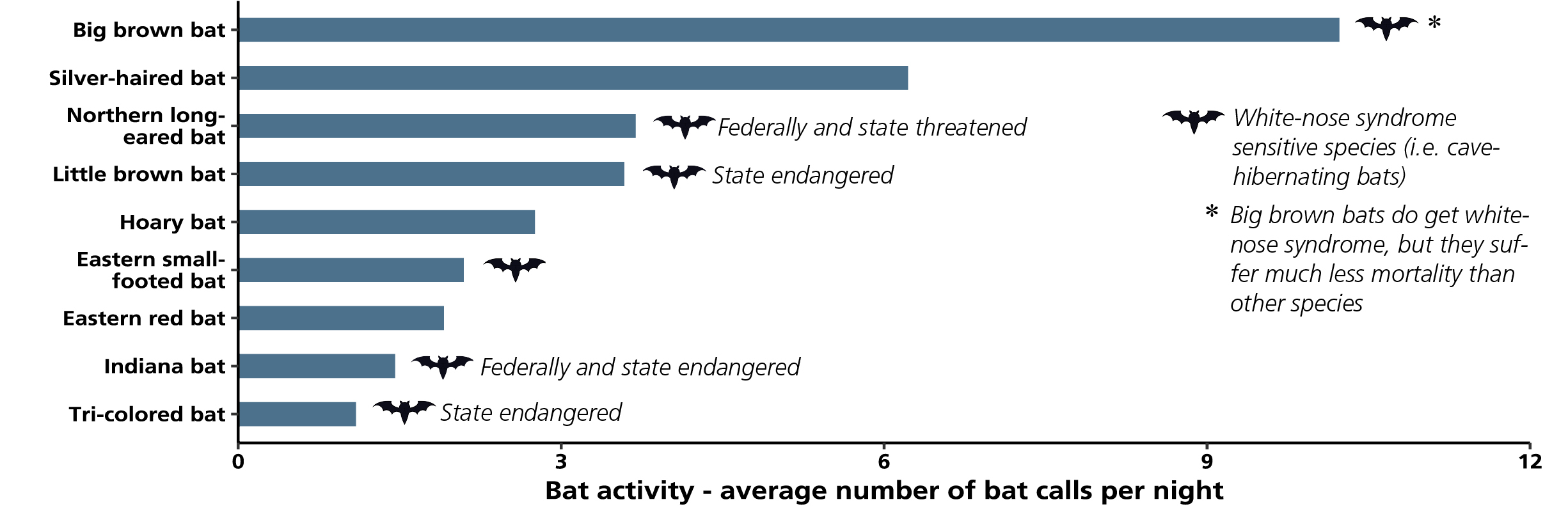 Bat Species Chart