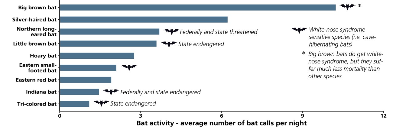 Bar chart showing bat species activity based on the number of recorded bat calls in the park.