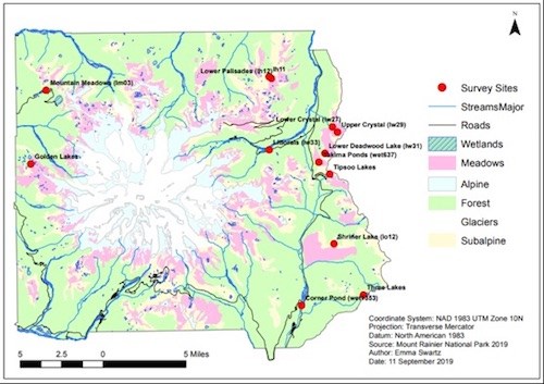 2019 Amphibian Monitoring Sites A map of Mount Rainier with different terrain (wetlands, meadows) shaded in different colors and survey sites marked with red dots.