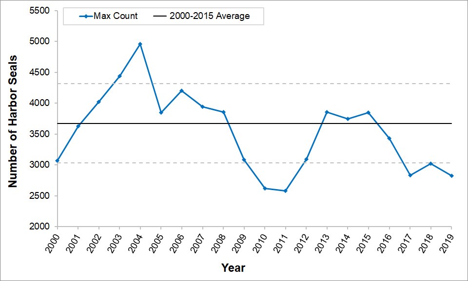 2019 annual maximum molt counts Line graph showing maximum harbor seal molt season counts for 2000-2019. Molt counts have remained fairly steady between one standard deviation around the mean. The highest count was in 2004 and the lowest counts occurred in 2010, 2011, 2017, and 2019.