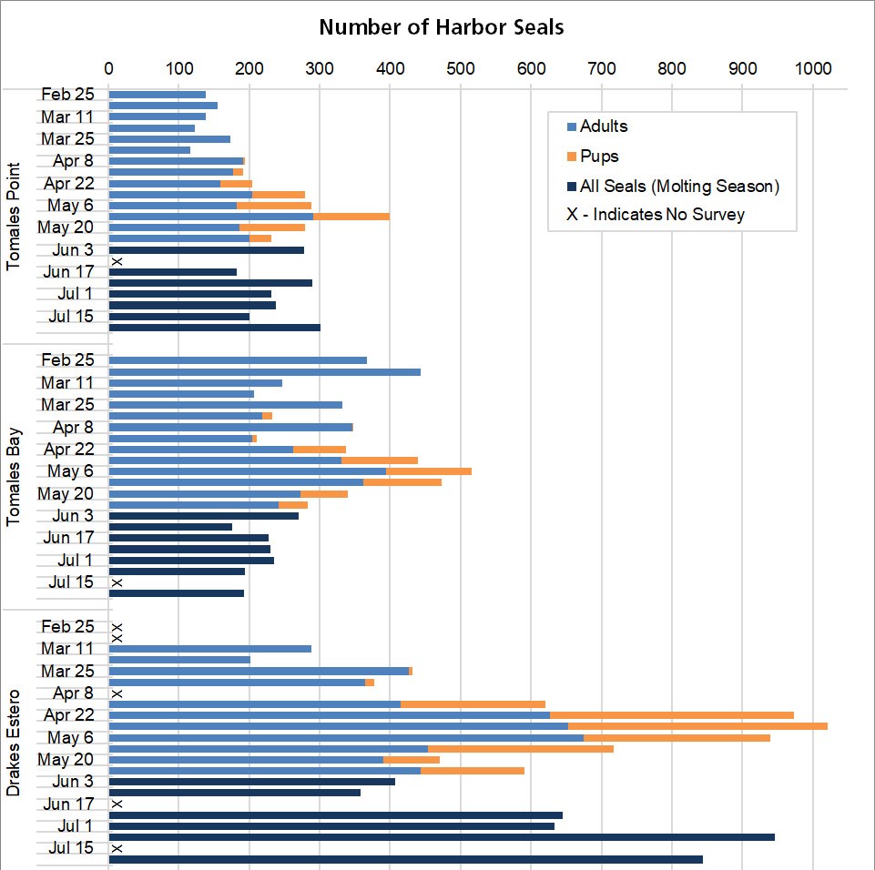 2019 season details 1 Graph of maximum harbor seal counts by site (Tomales Point, Tomales Bay, Drakes Estero) and survey week from late February through July.