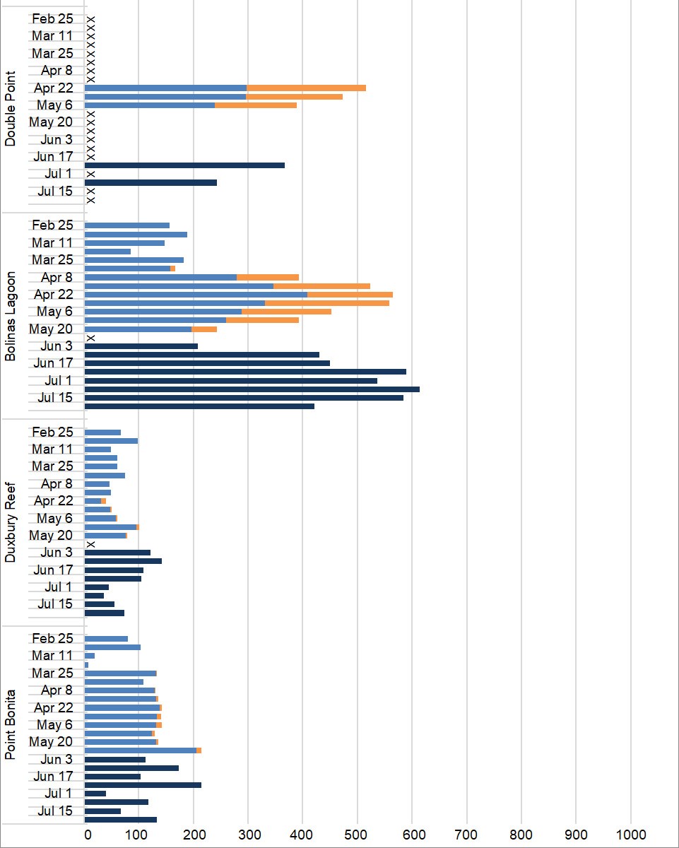 2019 season details 2 Graph of maximum harbor seal counts by site (Double Point, Bolinas Lagoon, Duxbury Reef, and Point Bonita) and survey week from late February through July.