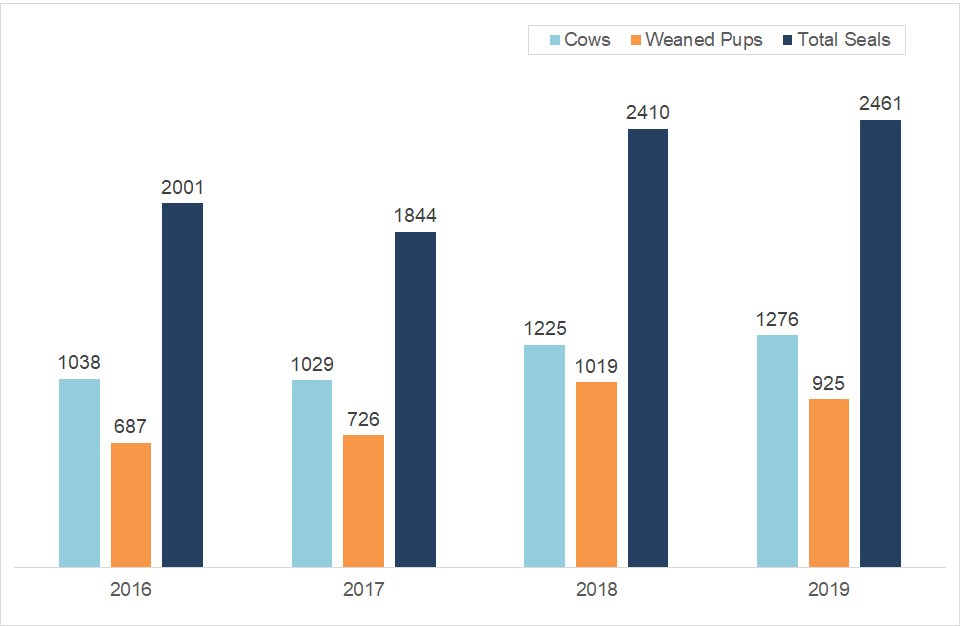 Elephant Seal Seasonal Peak Numbers, 2016-2019 Peak numbers of total elephant seals, elephant seal cows, and weaned pups mostly rising over the last four years