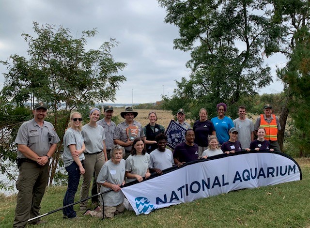 Rangers at Fort McHenry National Monument and Historic Shrine join with volunteers from the National Aquarium. Rangers and volunteers face the camera