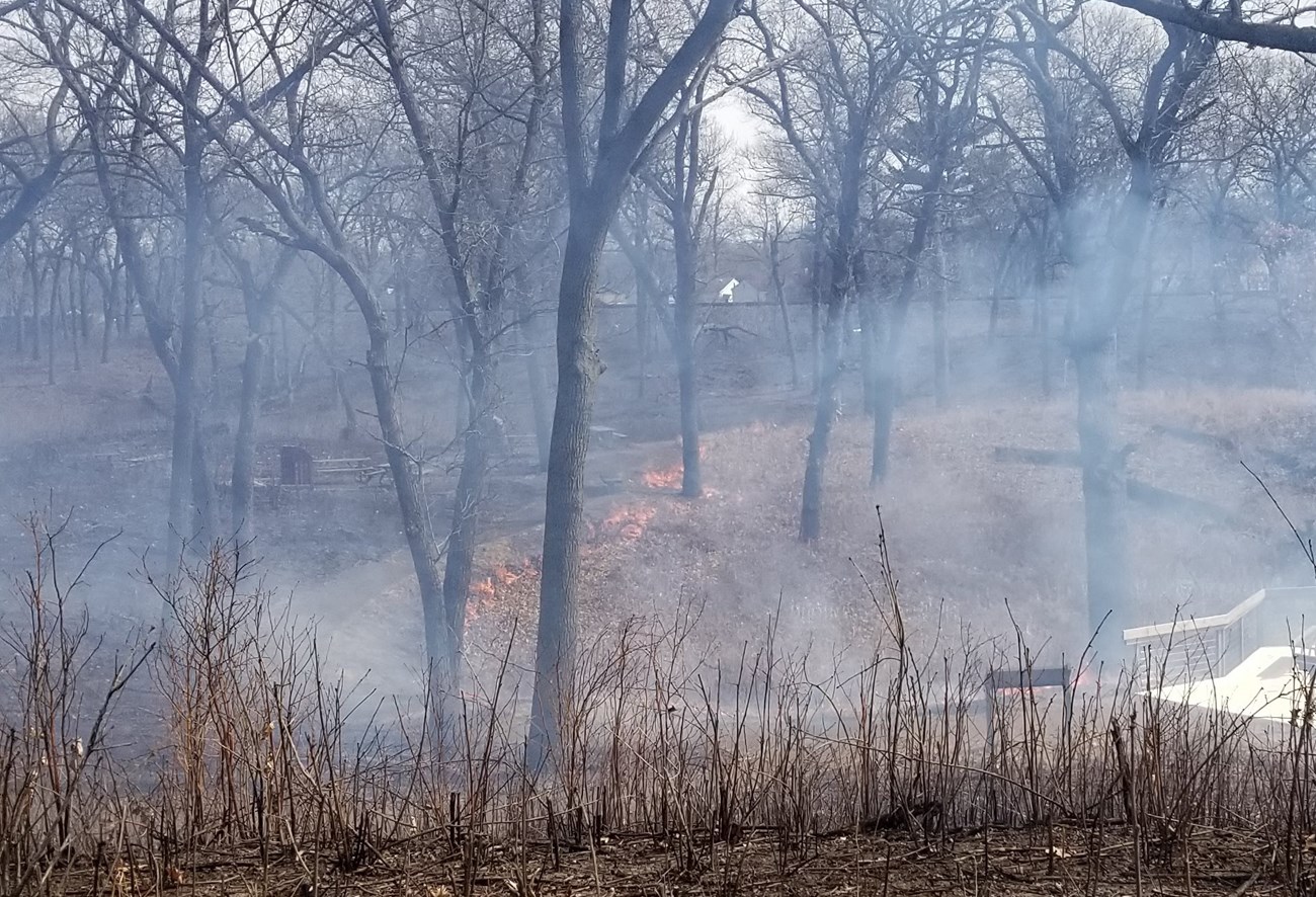 Fire along sidewalk in wooded area