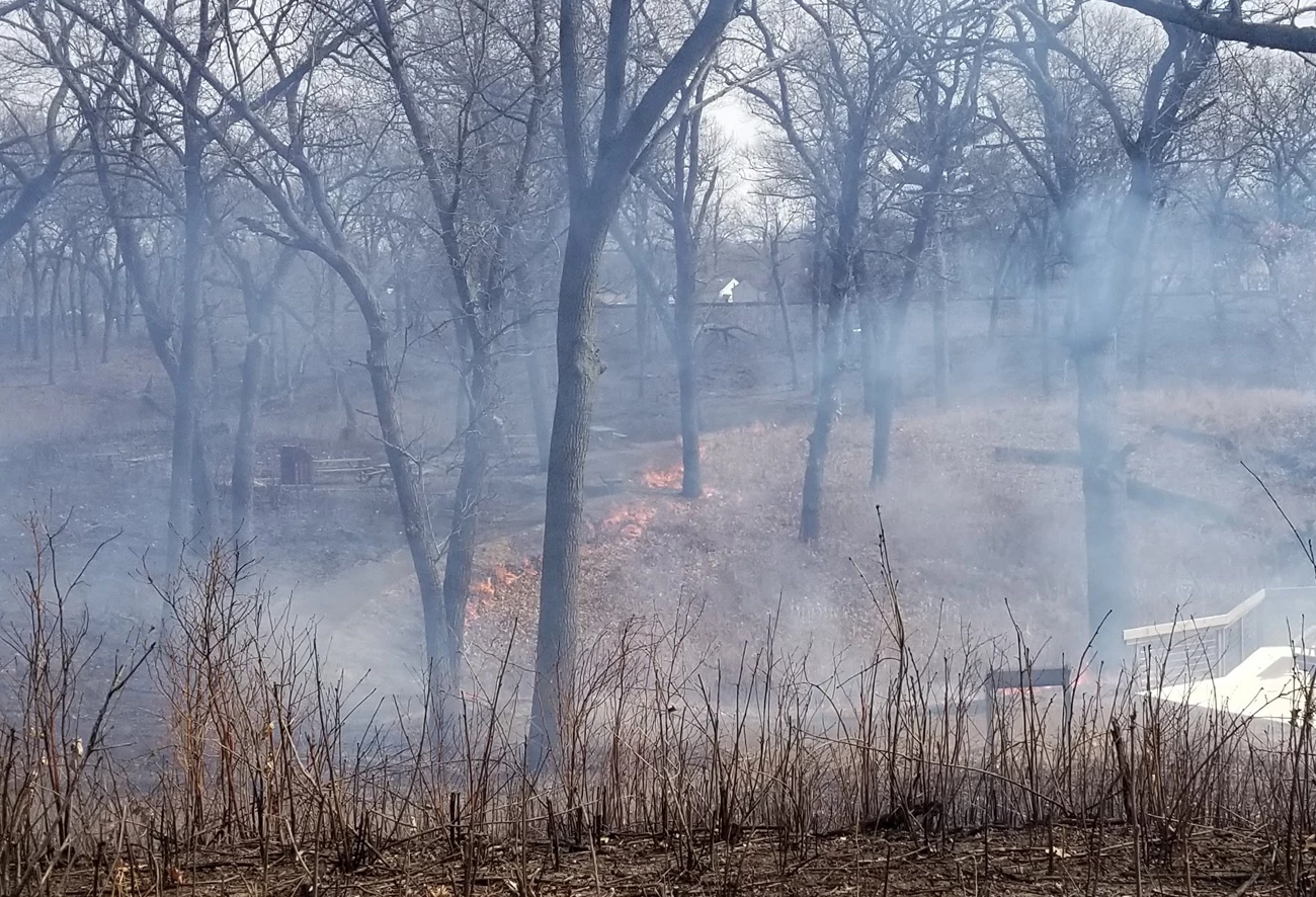 A fire is lit ahead of the main wildfire to remove fuels from the fires path. The blackened area on the left side of the photo is the previously burned Miller Woods Unit #7 Prescribed Fire. The flames visible in the middle have been intentionally set. Fire along sidewalk in wooded area