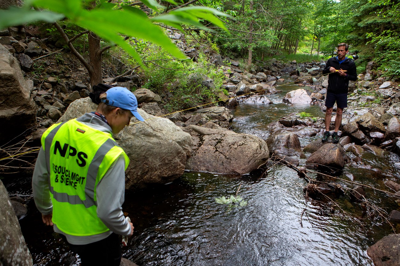 park researcher in a yellow science and research vest holding a string between another person standing in the stream.