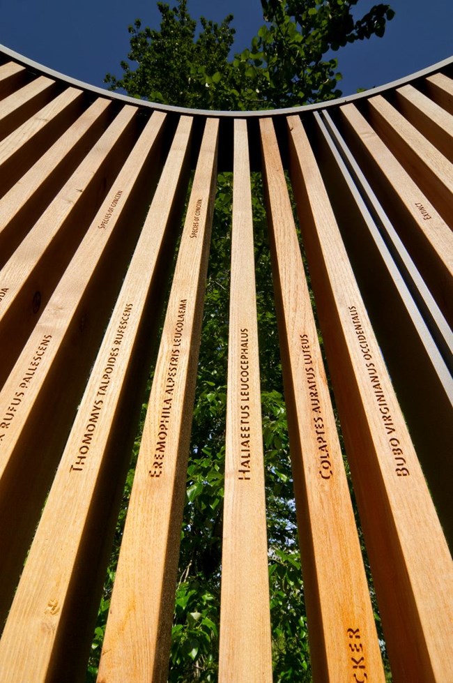 Each slat of Maya Lin’s “Bird Blind” contains the names of the species Lewis and Clark encountered during their expedition. Photo courtesy of the Confluence Project.