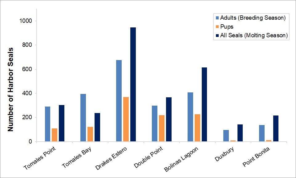 2019 Max Counts by Site Bar graph showing the maximum harbor seal counts by site (Tomales Point, Tomales Bay, Drakes Estero, Double Point, Bolinas Lagoon, Duxbury, and Point Bonita). Drakes Estero has the highest number of seals during the breeding and molt seasons.