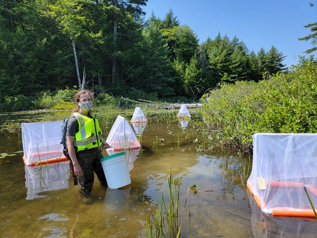 Chrissy Murphy stands among traps for their research project. researcher holding bucket among four floating traps in a pond