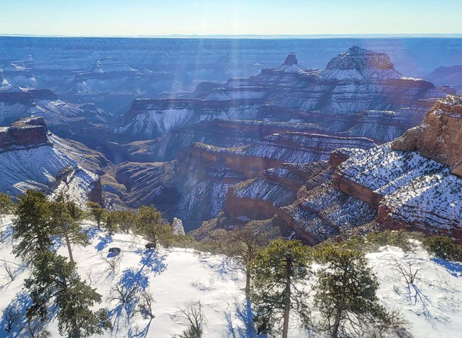 seen from the air, several bison are standing on the snow covered rim of a vast canyon landscape of colorful peaks and cliffs.