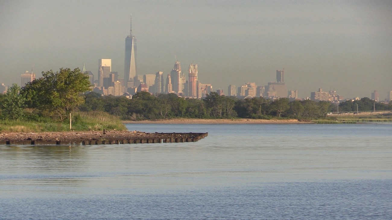 lt= a skyline of tall buildings tower over a salt marsh vegetation and water