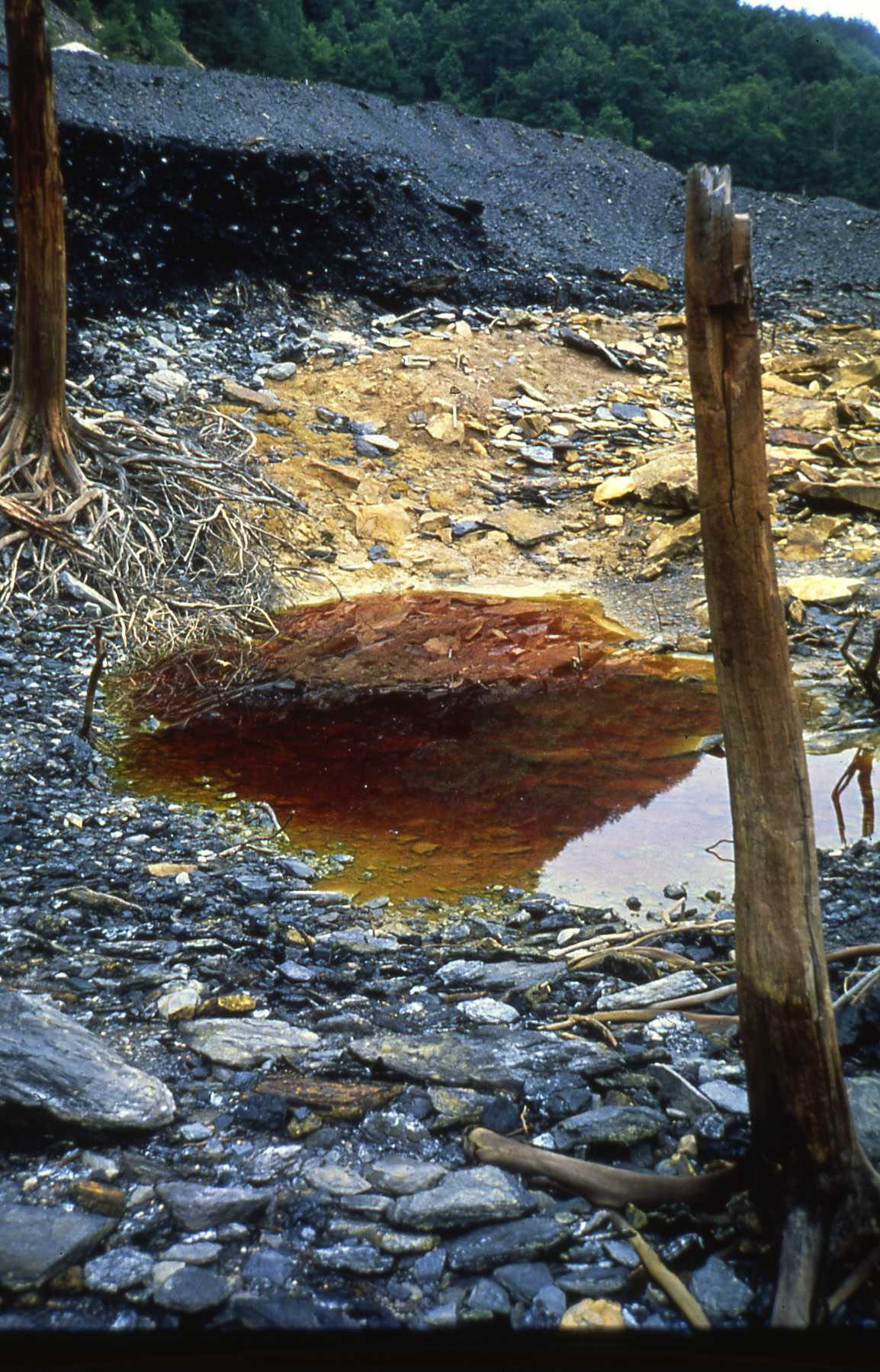 Pond of Contaminated Water at Big South Fork National River and Recreation Area A brown puddle of water surrounded by grey rocks