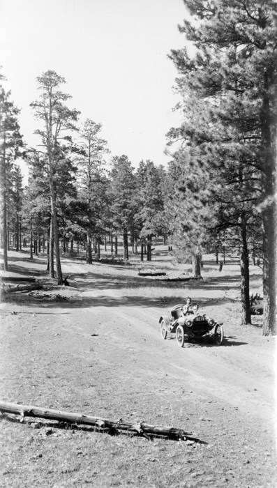 On the canyon's rim. Metz car driving forward on a dirt path through fir trees.