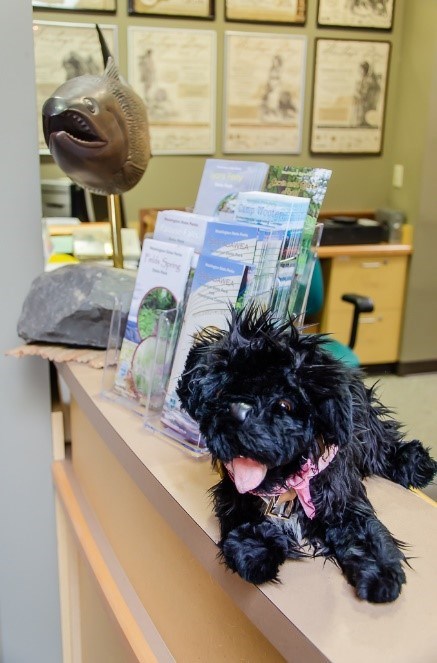 2SSPWA toy dog on desk