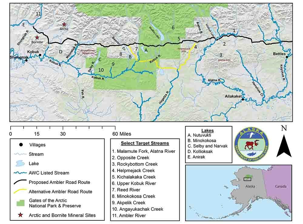Map of the study area of the Kobuk and Koyukuk River drainages.