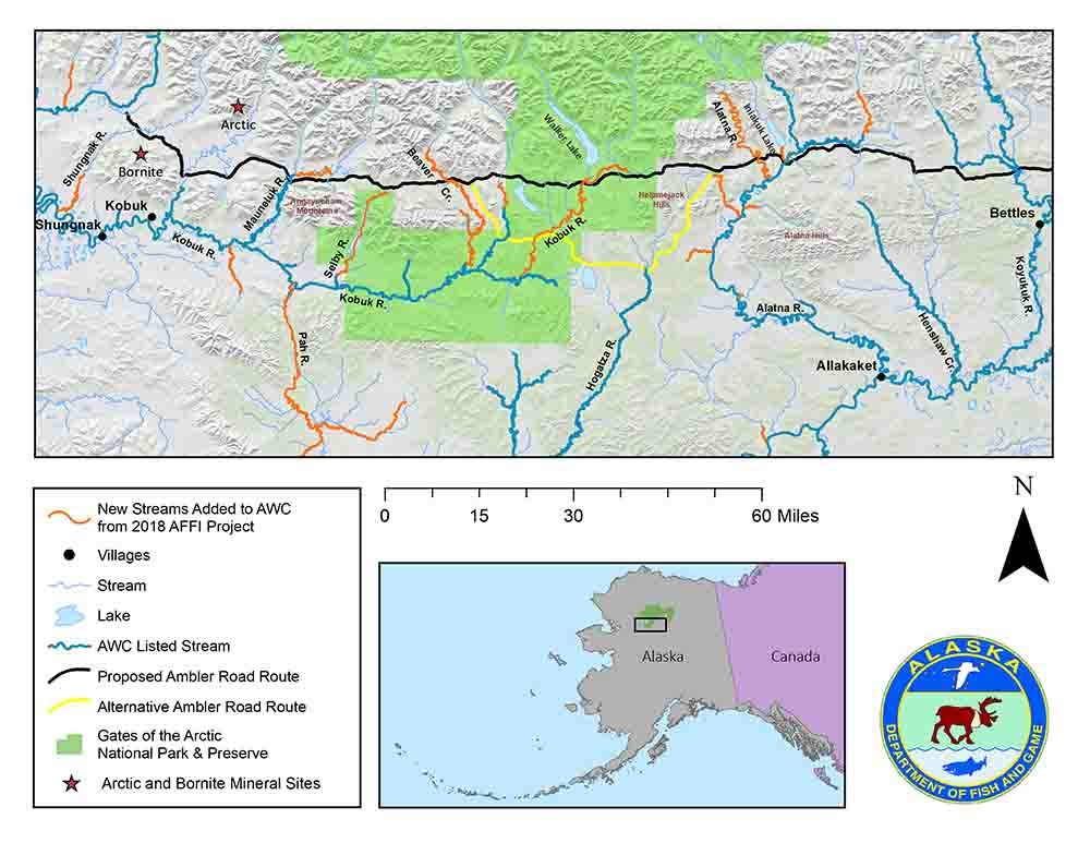 Map of the Kobuk and Koyukuk river basins and new streams identified as anadromous.