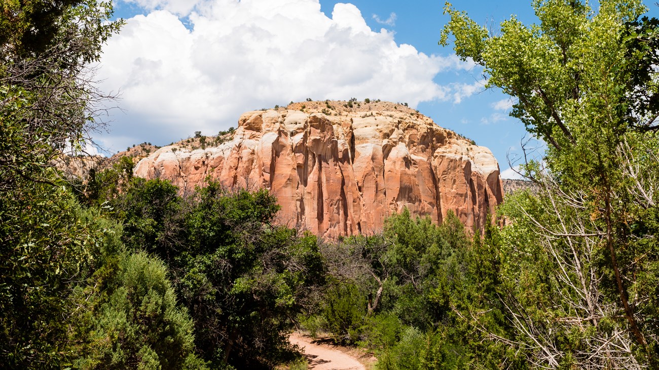 Ghost Ranch National Natural Landmark rock formation behind trees