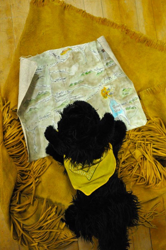 toy dog looking at a map