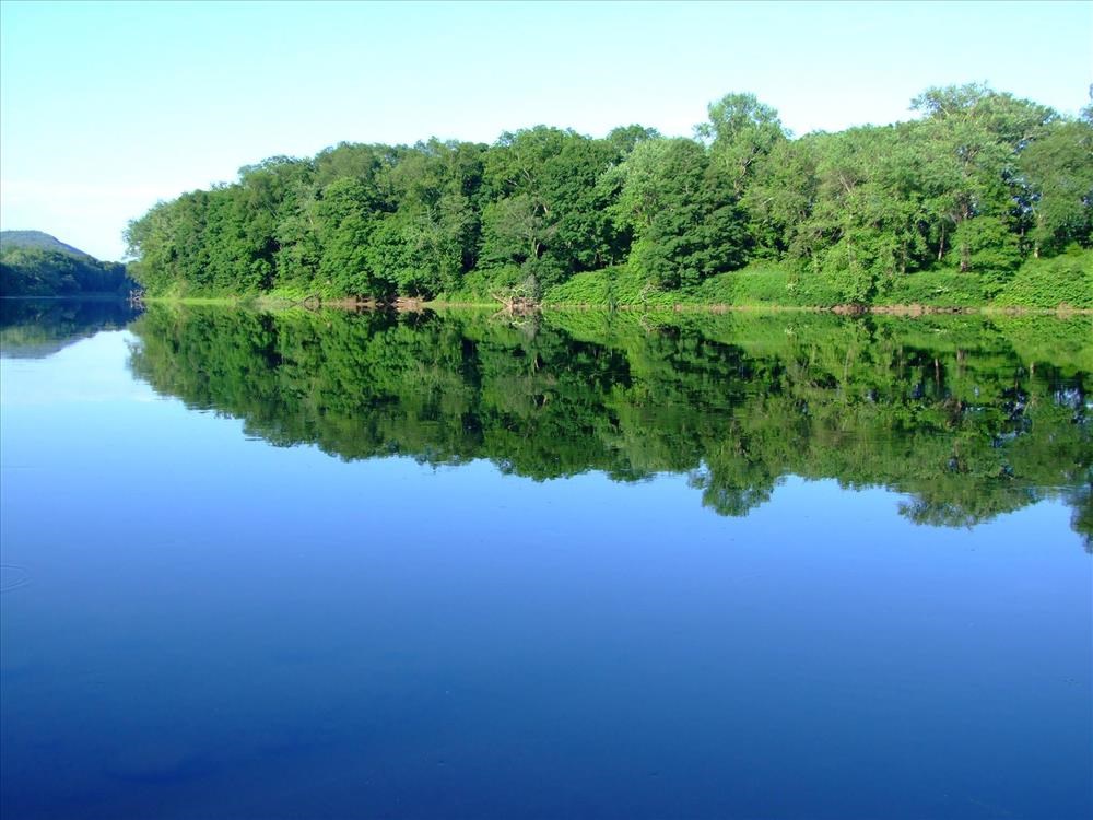 green trees reflected in still blue river water
