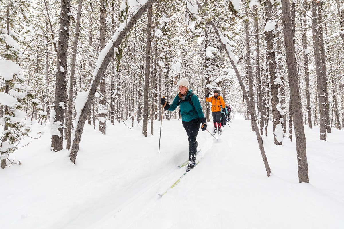 cross country skiing group cross country skies