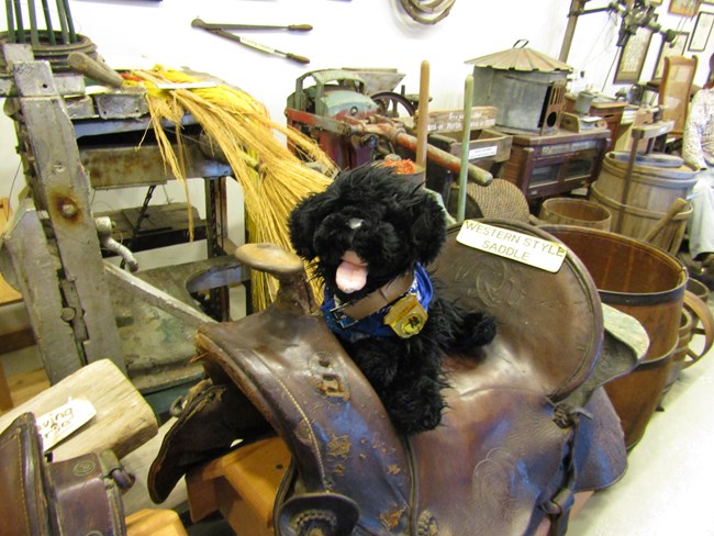 stuffed pup sitting on a saddle