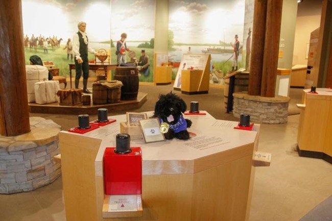 toy dog starts his “Official Visitors’ Journal.”