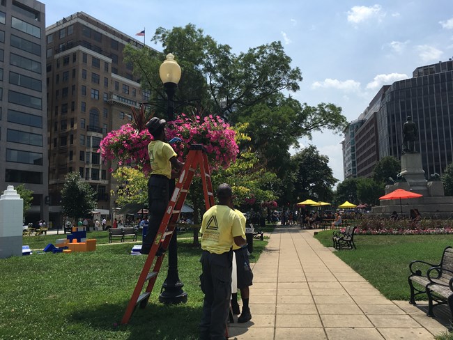 Two people hang baskets of flowers from a lamppost using a ladder.