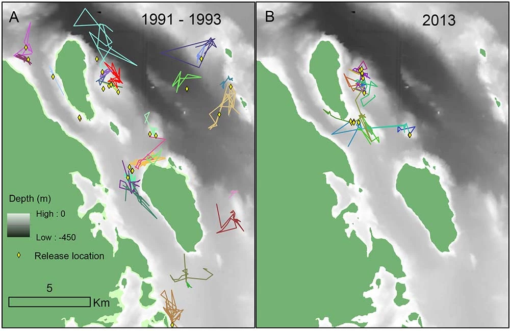 4-Fig3 Two maps side by side showing the home ranges of halibut.