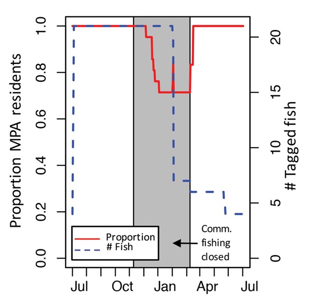 A graph showing the proportion and number of fish tagged.