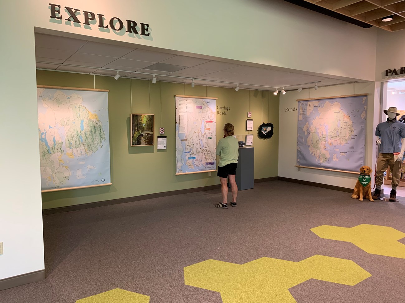 4 lafter Under the word 'explore' a visitor stands looking at maps and art on wall