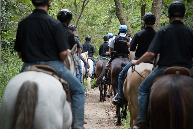 A group of horseback riders side by side viewed from the rear