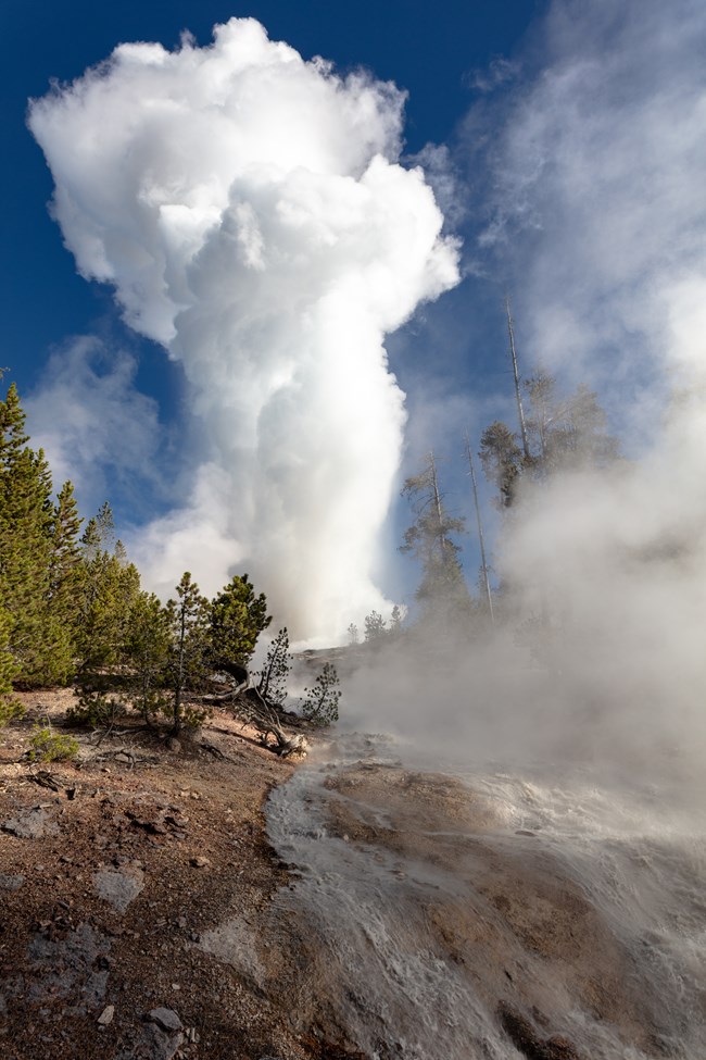 Steamboat Geyser in eruption