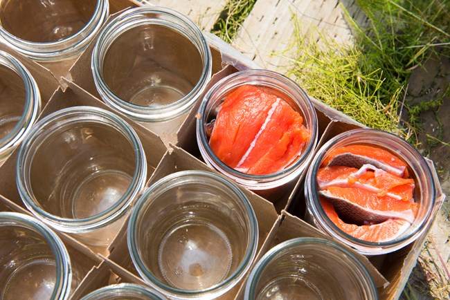 small glass jars are lined up ready to be filled with smoked salmon, only two have salmon in them