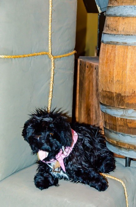 4SSP toy dog near barrell