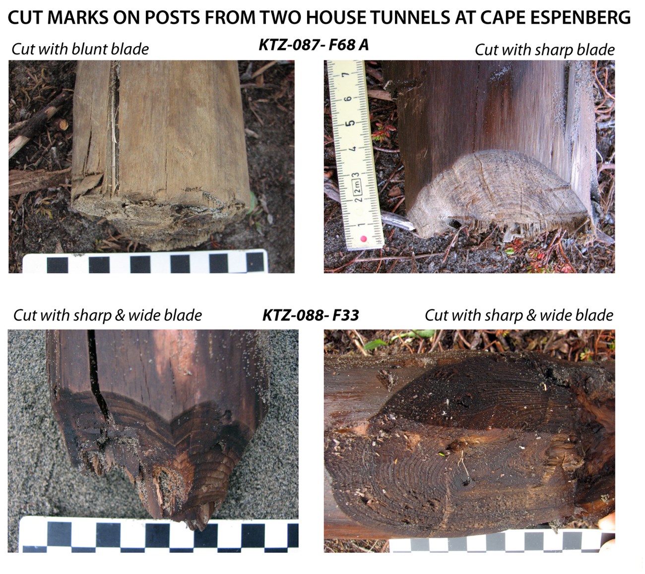 Images depicting different cut marks from two house tunnels at Cape Espenberg.