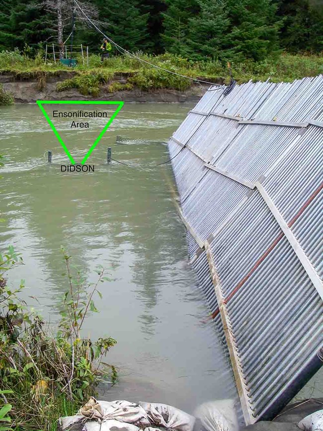 A fish wier in a river with a sonar counter.