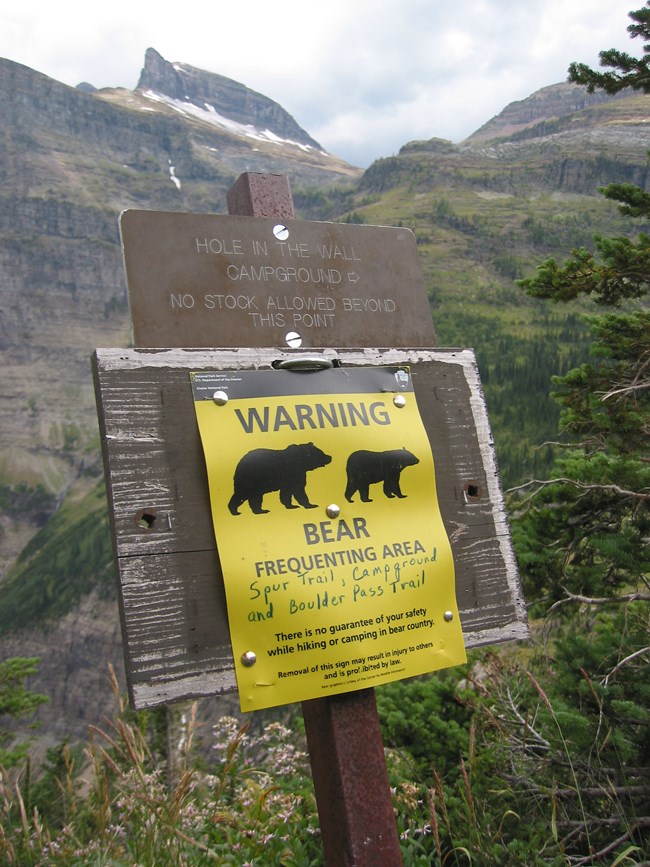 An advisory sign warning hikers of potential bear encounters is posted on a wooden pole along a hiking trail in Glacier National Park.