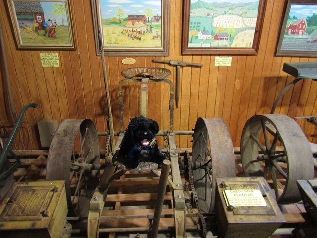 Stuffed pup on old farm equipment