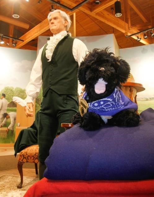 toy dog checks out the new President Thomas Jefferson robot