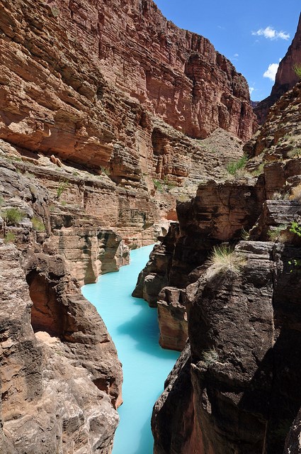 The milky blue water of Havasu Creek cuts through the inner canyon