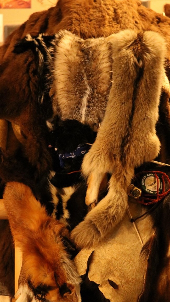 6KNRI toy dog on fur pile