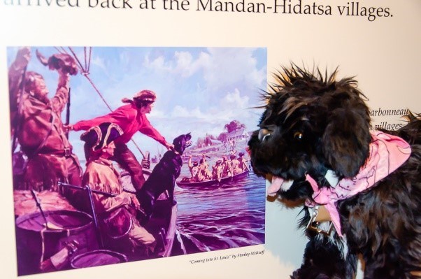 6SSP Toy dog near artwork